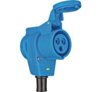Brennenstuhl 1080980 Femelle coudée CEE 16 A 230 V 1 pc(s)