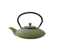 Bredemeijer G001GR Asia Xilin Théière Fonte Vert 0,8 L