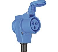 Brennenstuhl 1080980 Femelle coudée CEE 16 A 230 V 1 pc(s)