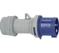 Brennenstuhl 1081010100 Mâle CEE 230 V 1 pc(s)