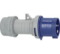 Brennenstuhl 1081010100 Mâle CEE 230 V 1 pc(s)