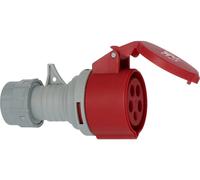 Brennenstuhl 1081040020 Femelle CEE 16 A 5 pôles 400 V 1 pc(s)