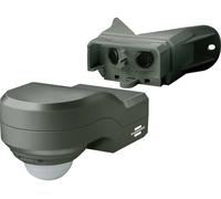 Brennenstuhl Détecteur de mouvement infrarouge PIR 240 avec fixation d'angle (IP44)