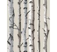 Brewster FD31051 Papier peint motif bouleaux Naturel
