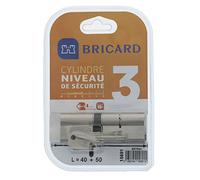 Bricard 15691 Cylindre Astral 2,9 en Laiton Nickelé 10 pistons/2 entrées 40 + 50, Acier Nickelé