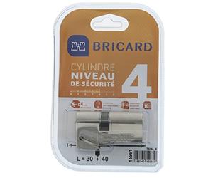 Bricard 15961 Cylindre Trial S 30+40 nickelé double entrée/niveau de sécurité 4