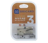 Bricard 17141 Cylindre Astral 2, 9 en Laiton Nickelé 10 pistons/2 entrées 35 + 35