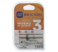 Bricard 17154 Cylindre débrayable Astral 2, 9 en Laiton Nickelé 10 Pistons, 2 entrées 30+55