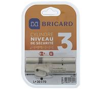 Bricard 17211 Cylindre Astral 2,9 en Laiton Nickelé 10 pistons/2 entrées 30 + 70