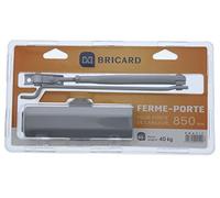 Bricard 2052 Ferme porte hydraulique force 2 Argent