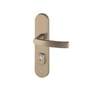 Bricard 9900191 Ensemble de Poignées Blindées sur Plaque Essential Béquille + Béquille pour Porte d’entrée (pour Cylindre Européen), coloris Ambre