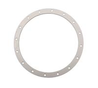 Bride de projecteur cofies 300w - Hayward