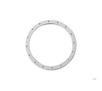 Bride pour projecteur 300 W - Hayward