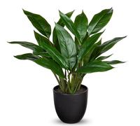 Briful Calathea Makoyana Plantes artificielles décoratives en pot pour la maison, le bureau, la chambre à coucher, 43 cm, vert foncé