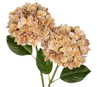 Briful Fleurs d'hortensia artificielles - Fleurs artificielles d'hortensia au toucher réel de 63 cm de couleur brun rosé - Fausses fleurs artificielles avec longue tige pour l'extérieur, le jardin, le
