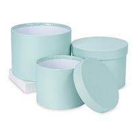 Briful Lot de 3 boîtes cadeaux bleues avec couvercles, boîte cadeau ronde avec boîte intérieure en plastique pour fleurs fraîches et plantes séchées, petites boîtes cadeaux pour cadeaux, travaux