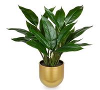 Briful Plante artificielle comme de vraies plantes artificielles Calathea touffue avec 22 feuilles dans un pot en céramique - Hauteur 43 cm - Vert