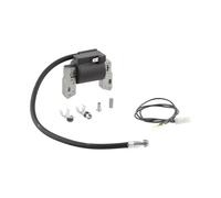 Briggs and Stratton 591420 Armature magnétique