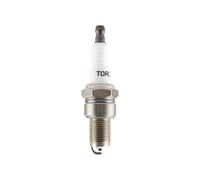 Briggs & Stratton 798615 Lame, Multicolore