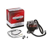 Briggs & Stratton Bobine d'allumage et Module