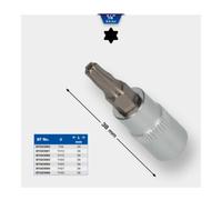 Brilliant Tools Brilliant Tools Douille TX 1/4" percée, TB20 Quantité:1