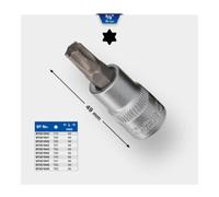 Brilliant Tools Brilliant Tools Douille TX 3/8", T40 Quantité:1