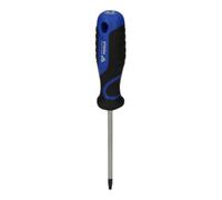 Brilliant Tools Brilliant Tools Tournevis TX, T20 Quantité:1