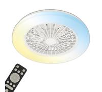Ventilateur de plafond avec éclairage Salon Télécommande Plafonnier silencieux Ventilateur à intensité variable, CCT Veilleuse Minuterie, 49 Watt LED 1800lm 3000-6500K, D 48,5 cm