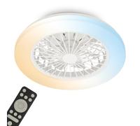 Ventilateur de plafond avec éclairage Salon Télécommande Plafonnier silencieux Ventilateur à intensité variable, CCT Veilleuse Minuterie, 49 Watt LED 1800lm 3000-6500K, D 48,5 cm