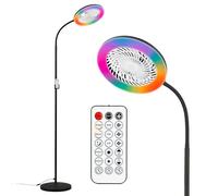 BRILONER - Lampadaire ventilateur LED avec éclairage, télécommande, RGBIC, CCT, intensité réglable, lampe sur pied ventilateur, luminaire salon, ventilateur avec lumière, 28 x 185 cm, Noir