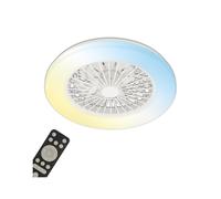 Ventilateur de plafond avec éclairage Salon Télécommande Plafonnier silencieux Ventilateur à intensité variable, CCT Veilleuse Minuterie, 49 Watt LED 1800lm 3000-6500K, D 48,5 cm