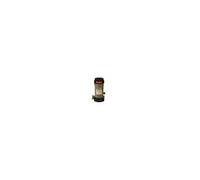 Brominateur Hayward CL0220 4kg