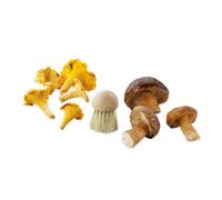 Brosse à champignons La Bonne Graine