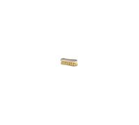 BROSSE A LAVER VIOLON CHIENDENT