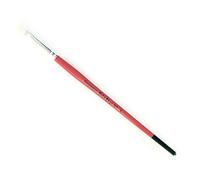 Brosse Plate Soie De Porc N°4 - Lot De 10 Brosses
