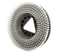 Brosse pour HAKO B12, Ghibli Junior, 45 M 55-355 mm - Brosse plate Brosse de Nettoyage - Moyen dur