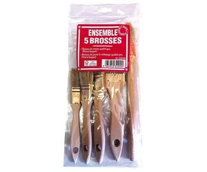 Brosse professionnel norme fsc lot de 5