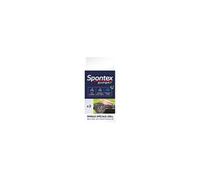 Brosse spirale Expert Special Grill acier inox lot de 2