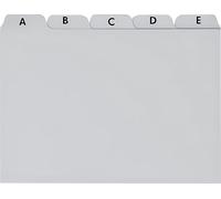 BRUNNEN Fichier A6 gris plastique 102377680
