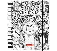 BRUNNEN ZENART 1071750191 Agenda scolaire 2020/2021 1 jour par page 1 page Format A6 Couverture en polypropylène