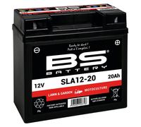 BS BATTERY Batterie SLA12-20 activée en usine sans entretien