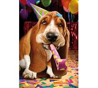 bsb - Carte d'anniversaire amusante, 11,5 x 17,0 cm, de qualité supérieure avec enveloppe, belles cartes d'anniversaire pour enfants/femmes et hommes, carte de vœux avec motif chien