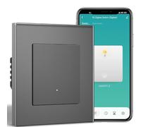 BSEEDLIFE Smart Interrupteur Intelligent Mural,Zigbee Interrupteur Encastré 1 Gang 86 * 86mm,Compatible avec Alexa et Google Home(via l'Application Tuya/Smart Life),Gris