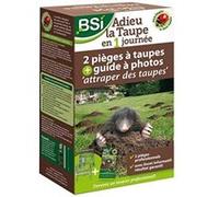 BSI - Lot 2 Pièges A Taupes - Haute Qualité - Métal Galvanisé - Ressort Puissant Et Rapide - Efficacité Supérieure - Facile à Installer, Gris