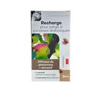 BSI - Cymatrap - Recharges pour piège à punaises diaboliques (3+3 x 8 semaines)