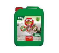 BSI - Puissant Destructeur - De Dépots Verts - Élimine Algues Lichens Moisissures - Efficace Sur Toutes Surfaces Dures - Concentré - 5l