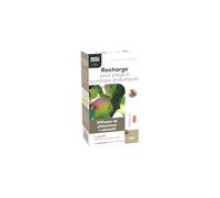 Recharge pour piège punaises diaboliques - BSI - 1 recharge - Phéromone attractif - Compatible Cymatrap