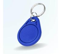BT Security Badge Porte-clé RFID 1k