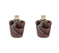 BUAGOUWZ 2X Jardin Suspendu en Pot Micro-Paysage Pots de Plantes à Viande Décoration en Résine A