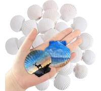 BUAGOUWZ Coquillages Saint-Jacques Naturels pour Décor Ocean Plage | Origine océan, parfaits pour peinture, et bougies